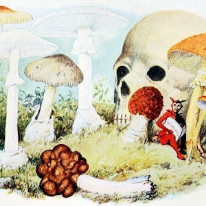 Cartão de nota em branco feito à mão com imagem vintage do jardim de cogumelos do diabo, caneta venenosa de Halloween, agradecimento de aniversário