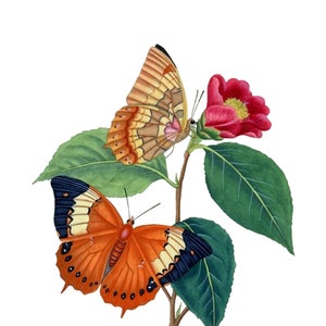 Carte de correspondance vierge avec image vintage papillon fête des mères Pâques fait main printemps anniversaire remise des diplômes merci
