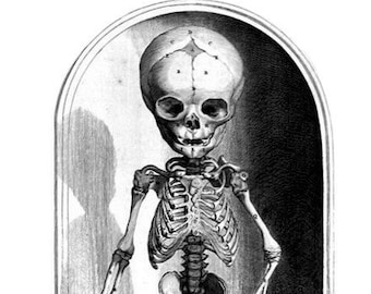 Skeleton in a Jar  Notecard Halloween Handmade Vintage Image Anatomy Birthday Thank You Get Well