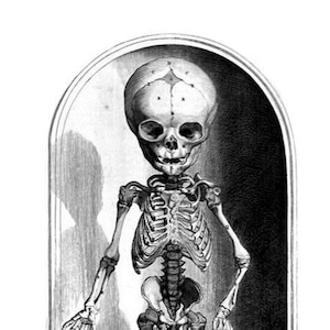 Skeleton in a Jar  Notecard Halloween Handmade Vintage Image Anatomy Birthday Thank You Get Well