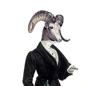 Reginald Ramsbottom Kabinett der Kuriositäten leere Note Karte handgemachte Geburtstag Muttertag Abschlussfeier Danke gut