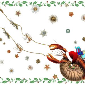 Gekke kerstgroeten Kerst Seizoensgroeten Feestdagen Kerstkaarten Bedankt voor je verjaardag