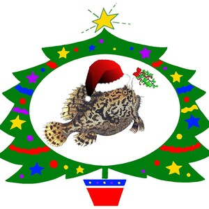 Wacky Noël Vœux Saisons de Noël Vœux Vacances Yule Cartes Merci Anniversaire