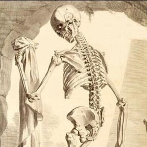 Collezione Scheletro #1 Immagini Vintage Biglietti d&#39;Auguri Illustrazioni Anatomiche Fatte a Mano Set di 10 Biglietti Compleanno Halloween