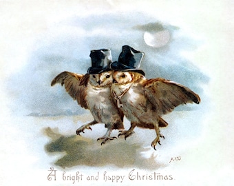 May include: Two owls wearing top hats stand on a snowy ground with a full moon in the background. The owls are facing each other and have their wings spread out. The text "A bright and happy Christmas." is written below the owls.