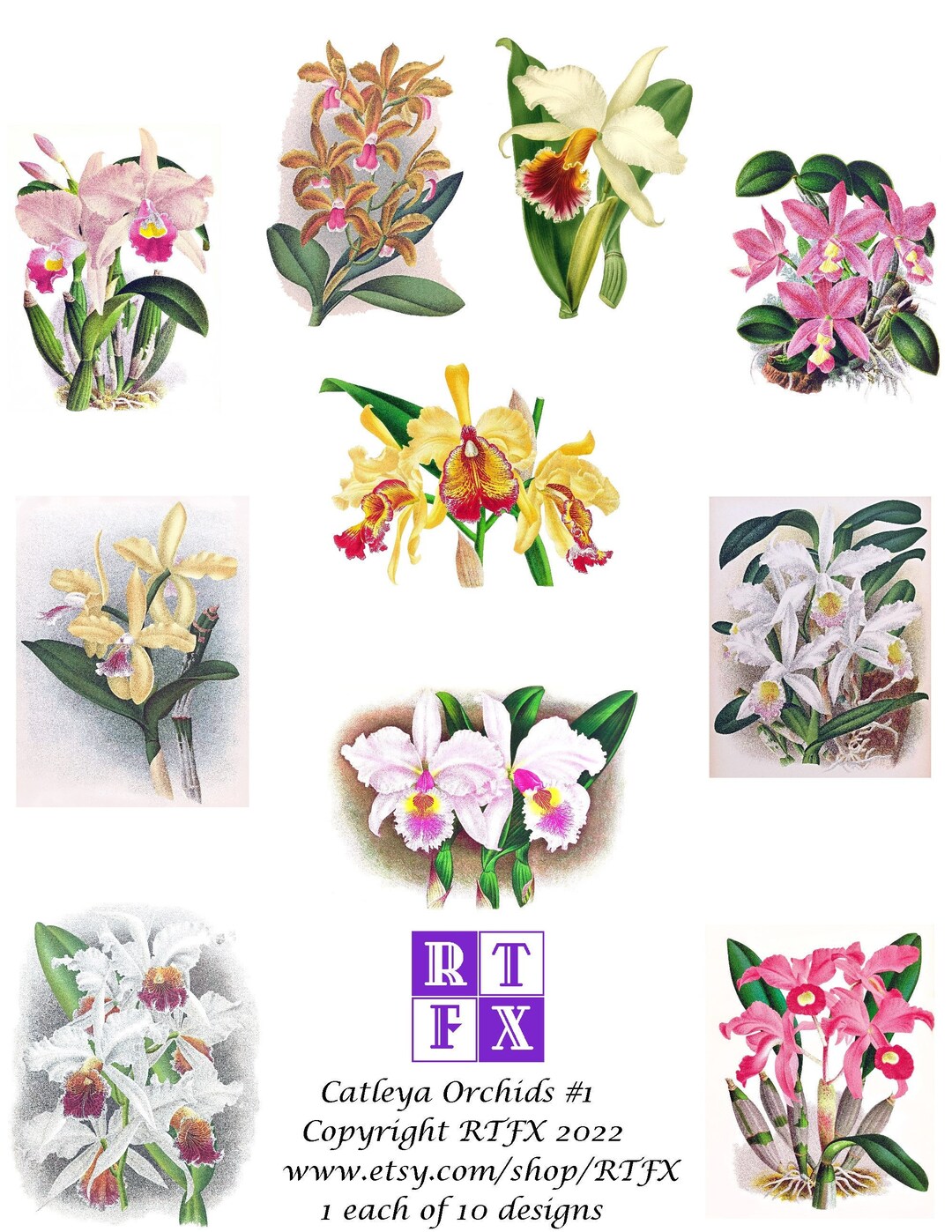 Catleya Orchid Collection #1 Set of 10 Blank Cards Handmade Vintage ...