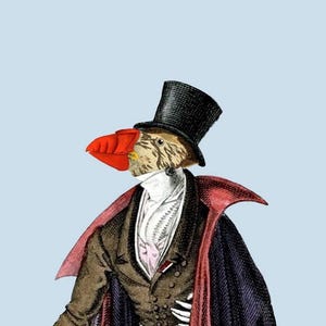 May include: A whimsical illustration of a bird-headed figure in formal attire. The bird has a red beak and is wearing a black top hat, a brown suit, a red cape, and a white collared shirt against a light blue background.