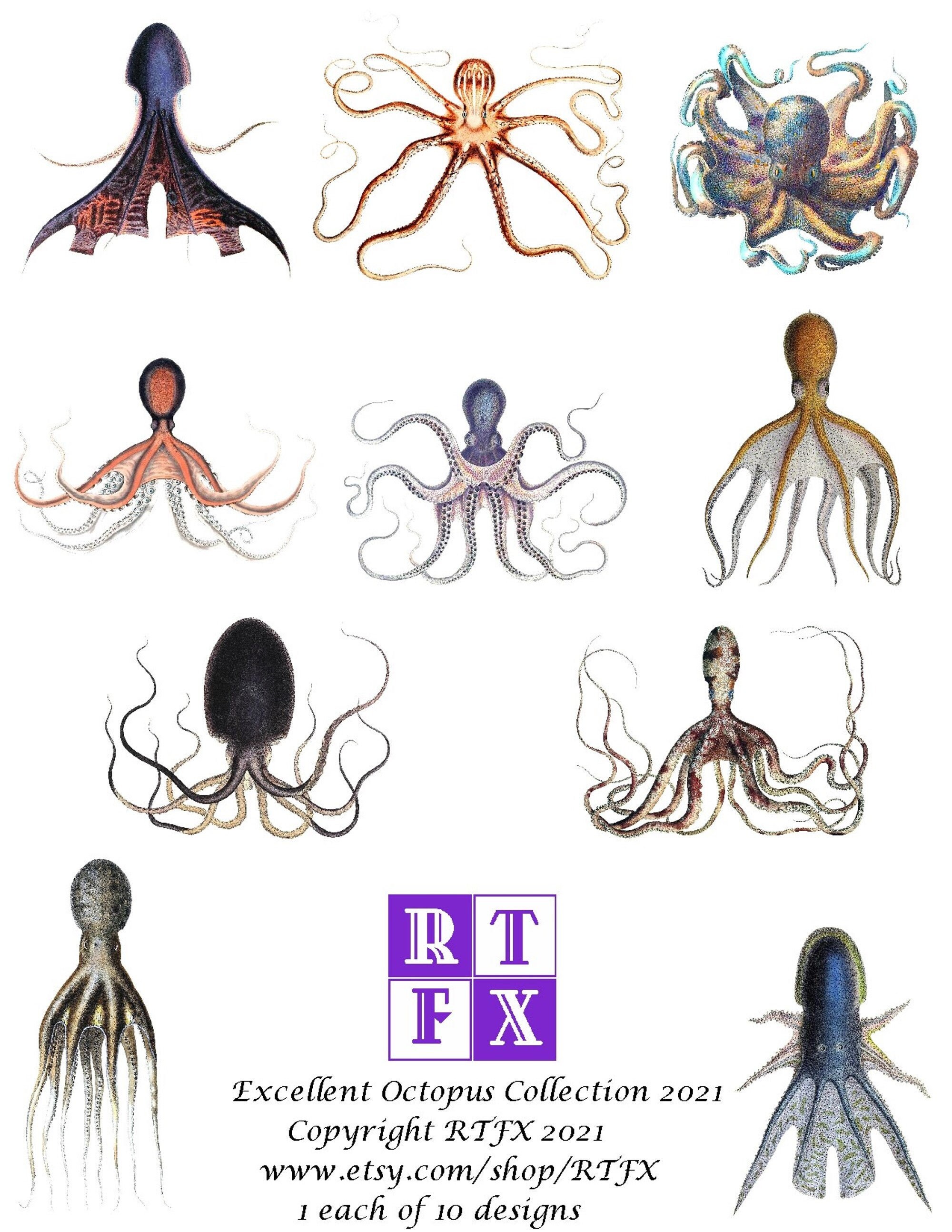 Excellent Octopus Collection 2021 10 Cards Handmade Vintage Images All Tentacles All The Time Birthday Thank You