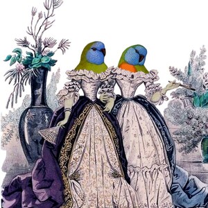 Die Tshirty Sisters Kabinett der Kuriositäten Blanko Notizkarte Handgemachter Geburtstag Muttertag Abschlussfeier Danke gut