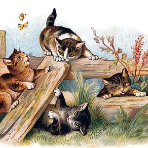 Chatons jouant vintage carte vierge pas de chat fait main fête des mères Pâques anniversaire Merci