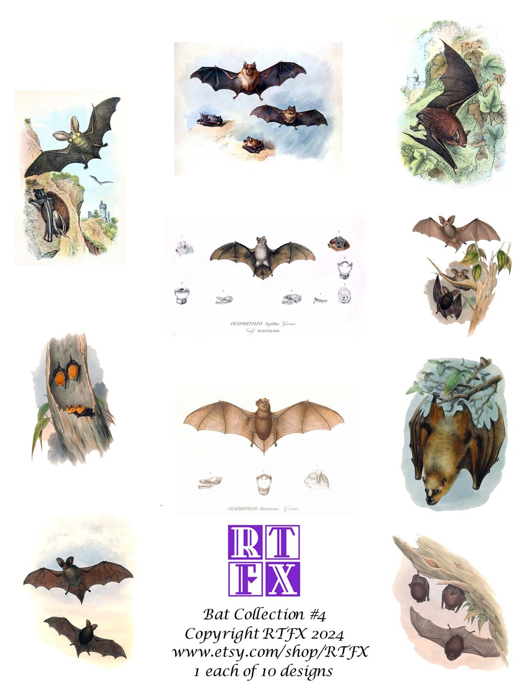 Bat Collection Number 4 Handmade Blank Note Cards Vintage Images ...