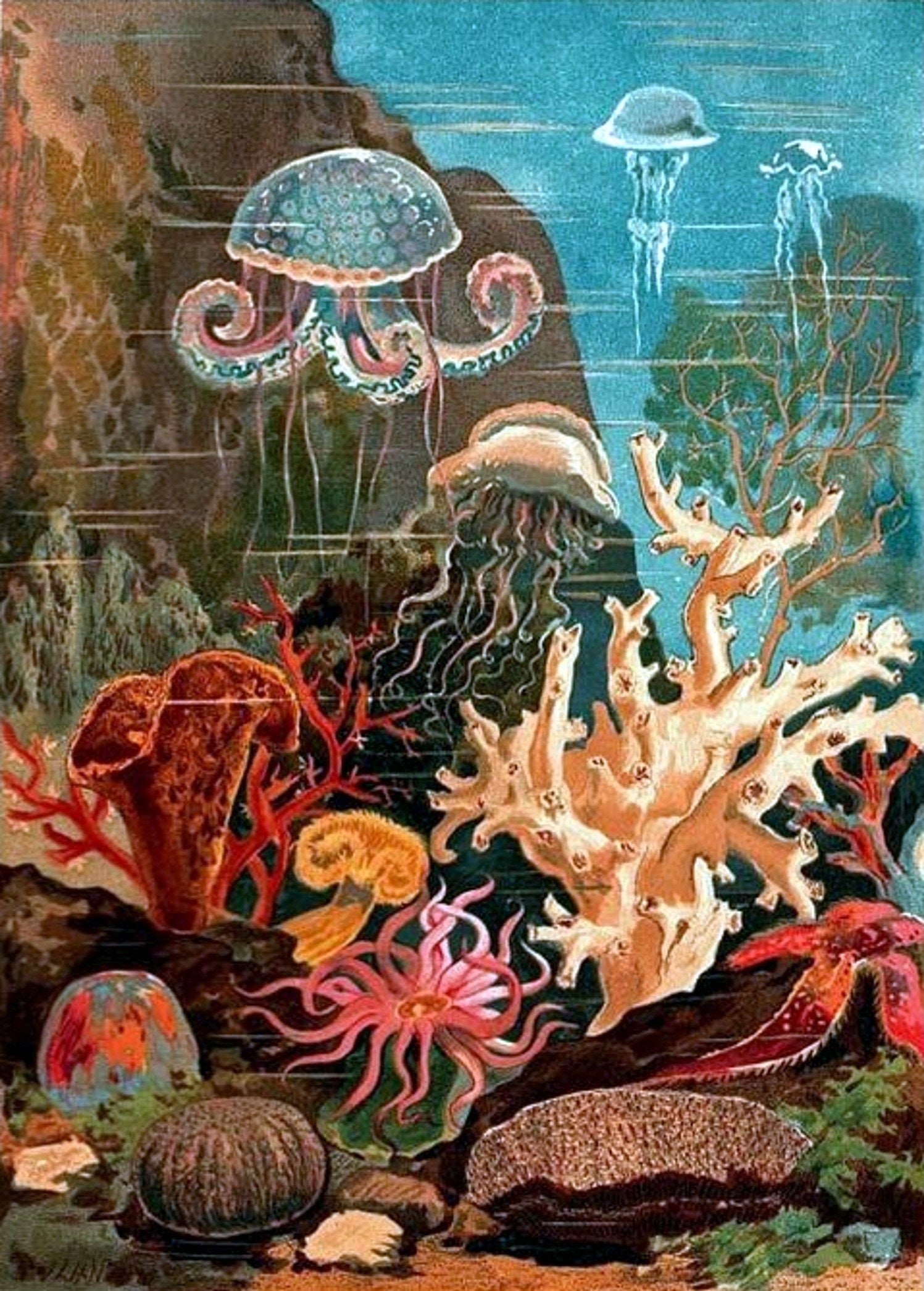 frisk Øl Goneryl Under the Sea Jelly Fish Blank Note Card Handmade Nature | Etsy