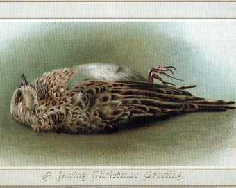Odd Victorian Vintage Christmas Image Seasons Greetings Holiday Yule Cards Thank You Birthday