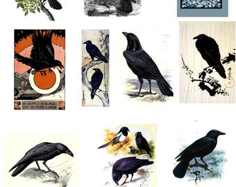 Raven Collection Number 1  blank Cards Handmade 10 cards Any Occasion Vintage Image Birthday Thank You Get Well