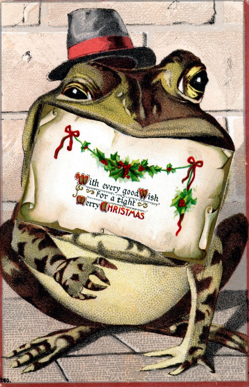Holiday Frog Vintage Christmas Seasons Greetings Holiday Yule Cards Thank You Birthday