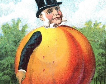Odd Holiday Peach Vintage Christmas Seasons Greetings Holiday Yule Cards Thank You Birthday