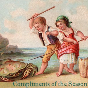 Compliments de saison Voeux de Noël Cartes de vœux pour les Fêtes Merci