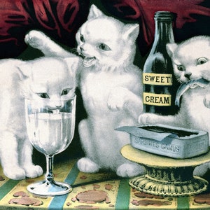 Vintage Cats Blank Note Card Handmade Birthday Holiday Thank You Get Well