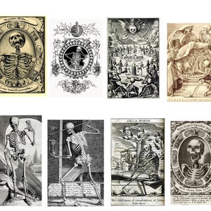 Memento Mori Card Collection 10 Designs Blank Birthday Halloween Graduation Thank You Get Well