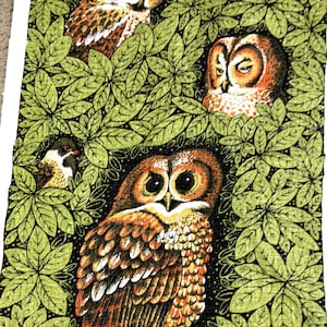 May include: A decorative rectangular towel featuring a detailed illustration of owls and small birds nestled among green leaves. The owls have brown and orange feathers, and the leaves are a vibrant green. The towel has a white border.