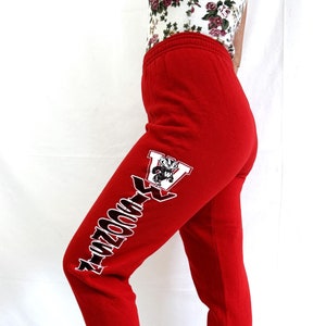 Wisconsin badgers joggers 2025