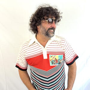 Vintage 1970s 70s RARE Chevron Striped Golf Button Up Shirt - Van Heusen
