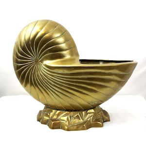 May include: A brass nautilus shell-shaped decorative bowl. The bowl features a spiral design and sits on a geometric base. The polished brass has a warm, golden hue, and the bowl is empty.