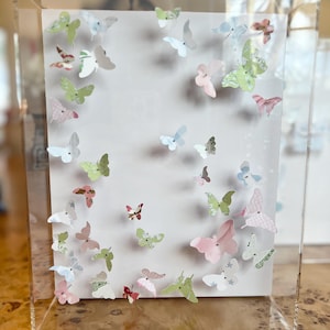 Puede incluir: Un marco de caja de acrílico transparente con un fondo blanco y una colección de mariposas de papel de colores. Las mariposas son de varios tonos de rosa, azul, verde y blanco.