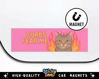 Imán para coche "Cubs Fear Me", divertido imán para parachoques de gato con llamas, accesorio de regalo con estética Y2K, humor al volante de la Generación Z, ideal para rellenar medias navideñas.