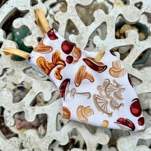 Made to Order Mushroom Party Pigeon Pants