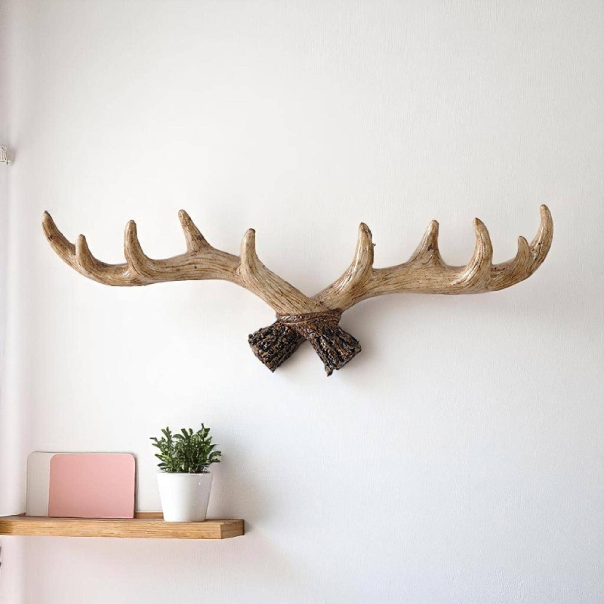 Deer Horn Antler Hat Rack Buy Antler Hat Rack 2025