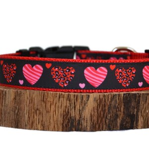 Valentine&#39;s Day Hearts Dog Collar, Love Your Pet, Cute
