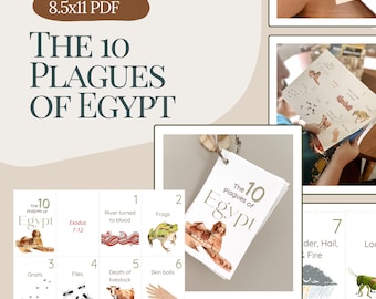 Opuscolo sulle 10 piaghe d'Egitto: attività di studio biblico (download PDF)
