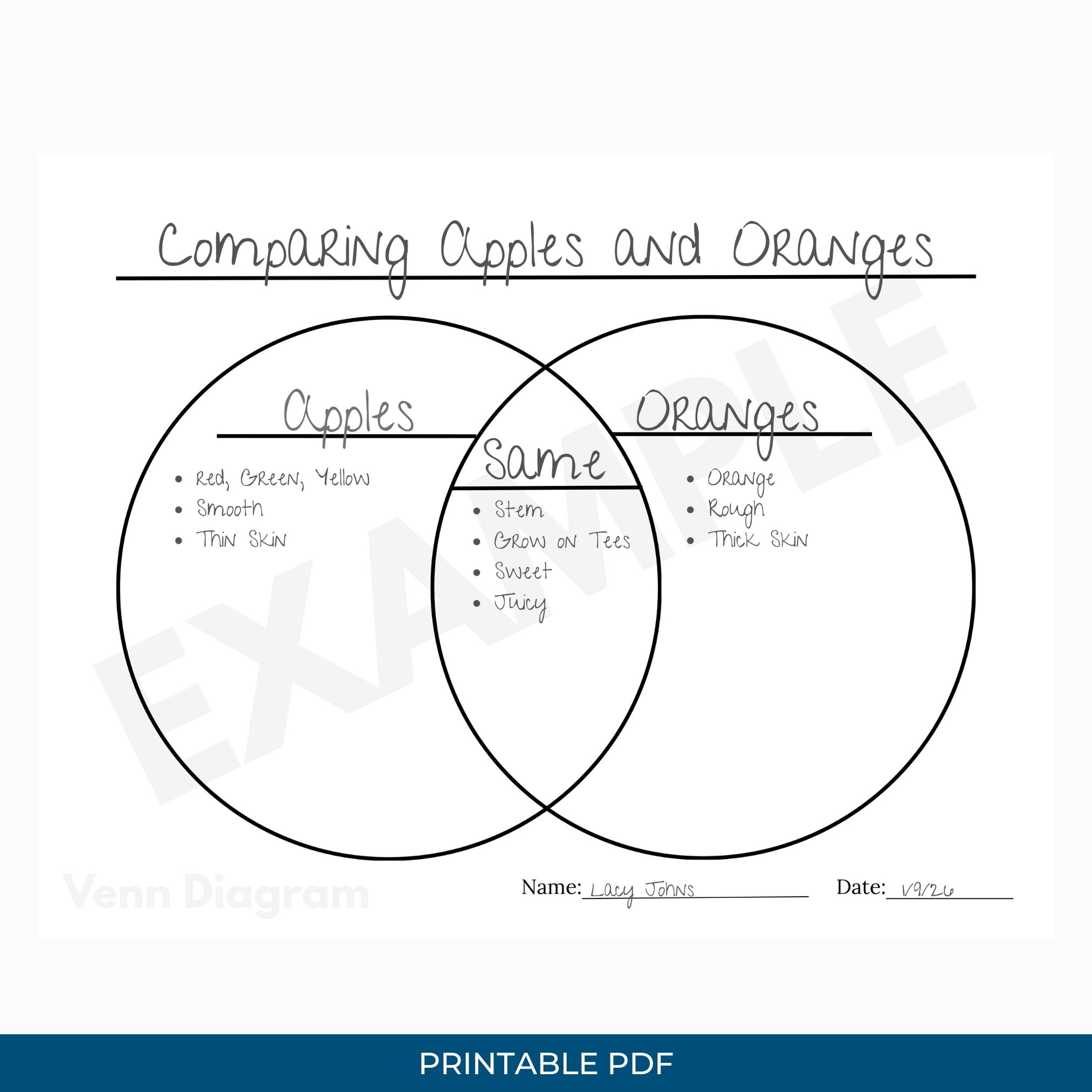Venn Diagram Printable PDF Worksheet - Etsy
