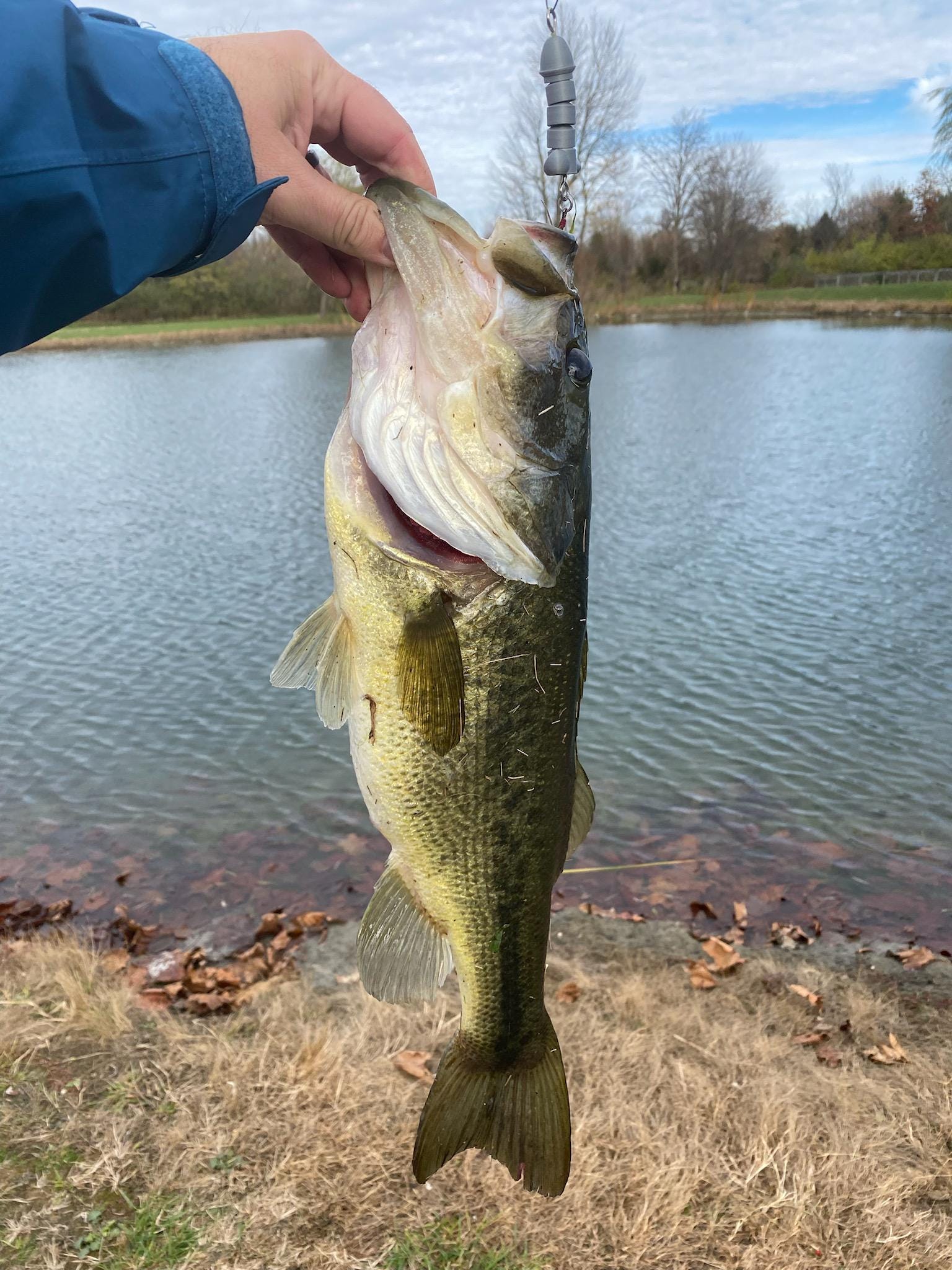 best fishing reel with line counter EVERYTHING YOU NEVER KNEW ABOUT LINE COUNTER REELS