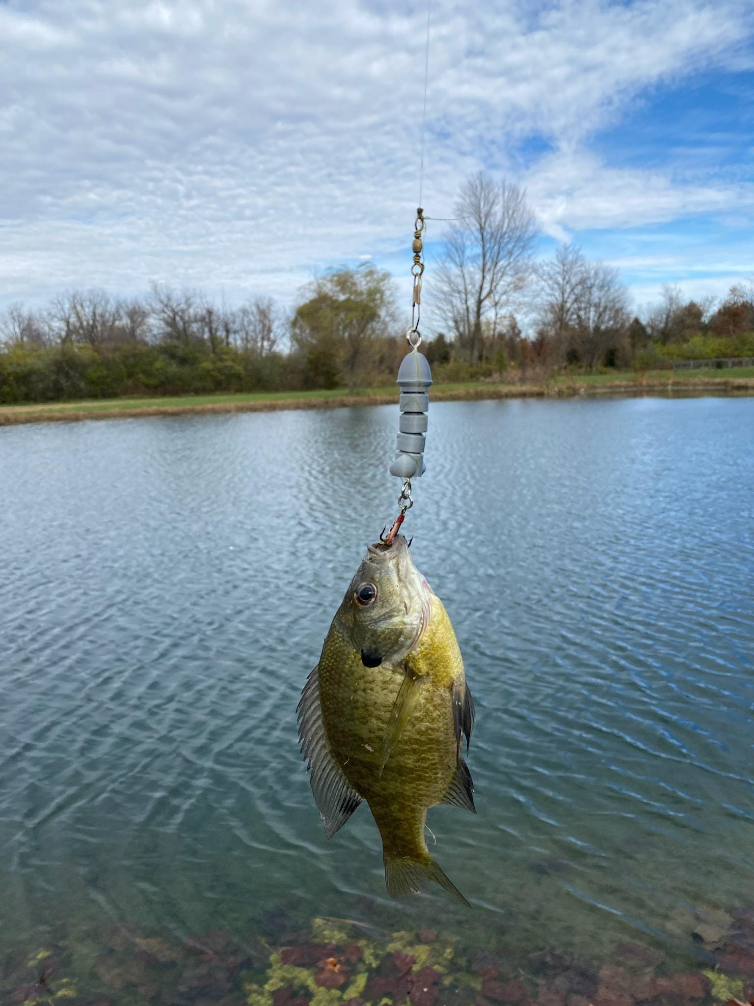 +fishing +reels +saltwater Is Your Spinning Reel Really Made For Saltwater? Find Out