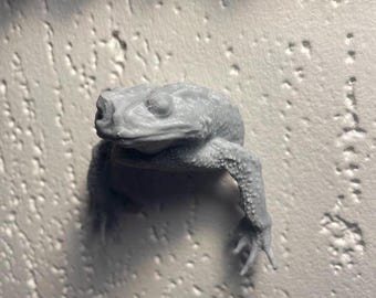 Busto de pared de sapo