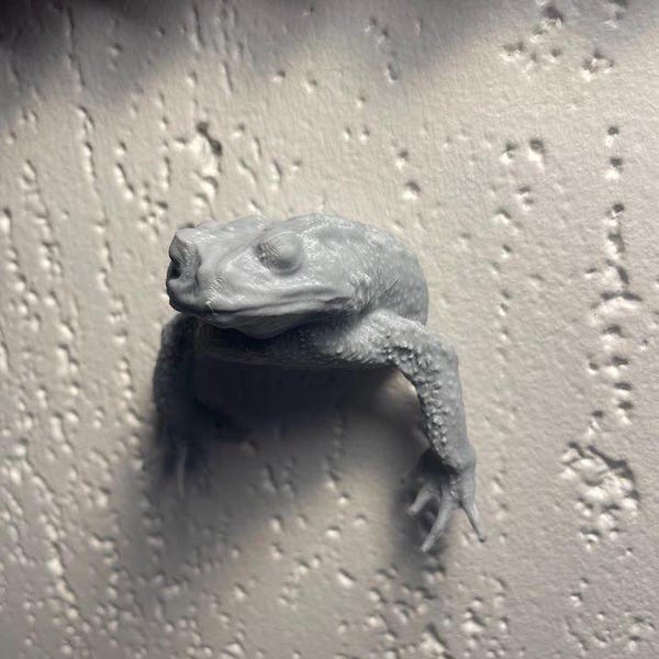 Toad Wall Bust