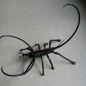 Devils Claw Scorpion