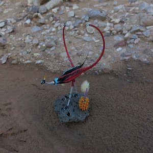 Devils Claw Roadrunner Sculpture
