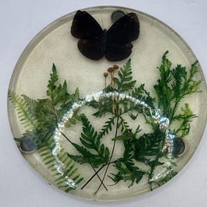 Sottopentola rotondo vintage in lucite da 7,75 pollici con farfalle, felci e foglie.