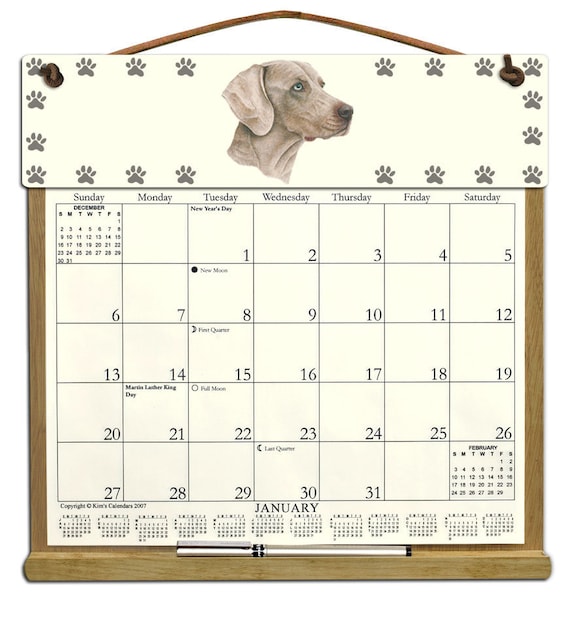 Weimaraner Calendar 2025 Calendar 2025 calli brandise