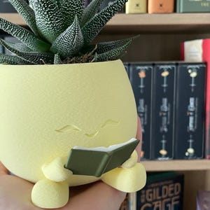 May include: A whimsical, yellow planter with a smiling face, holding a small green book. The planter contains a green succulent plant. The background includes a bookshelf with various books.
