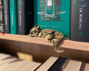 Baby Dragon Sleeping on a Shelf