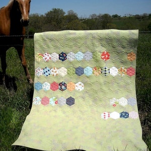 Może przedstawiać: Zielono-biała kołdra z wzorem chevron i rzędem kolorowych sześciokątnych łat. Kołdra jest zawieszona na sznurze do suszenia w polu z koniem na pierwszym planie.