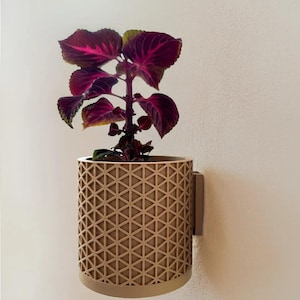 May include: A brown geometric patterned planter with a dark red and green plant inside. The planter is mounted on a white wall.