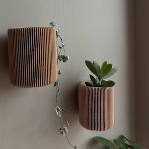 Könnte beinhalten: Zwei Wandbepflanzer aus Holz mit einem Lamellendesign. Der linke Pflanzer ist leer, während der rechte einen kleinen grünen Pflanzen hat.