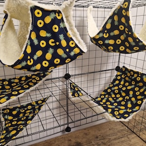Rat Hammock Set