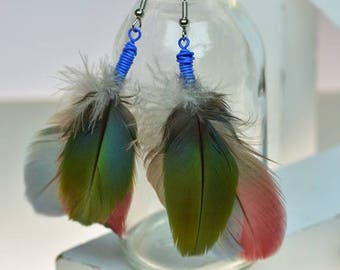 Feather Earrings, Green, Cobalt Blue, Aquamarine, Red, Macaw feather earrings, Lightweight Earrings, boho, hippie, boho chic, hippie chic,