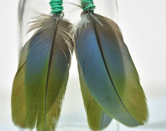 Feather Earrings, Cobalt Blue and Green, Greenwing Macaw Feathers, 4 inches long, Hippie Chic, Boho Chic Earrings, Light weight Earrings